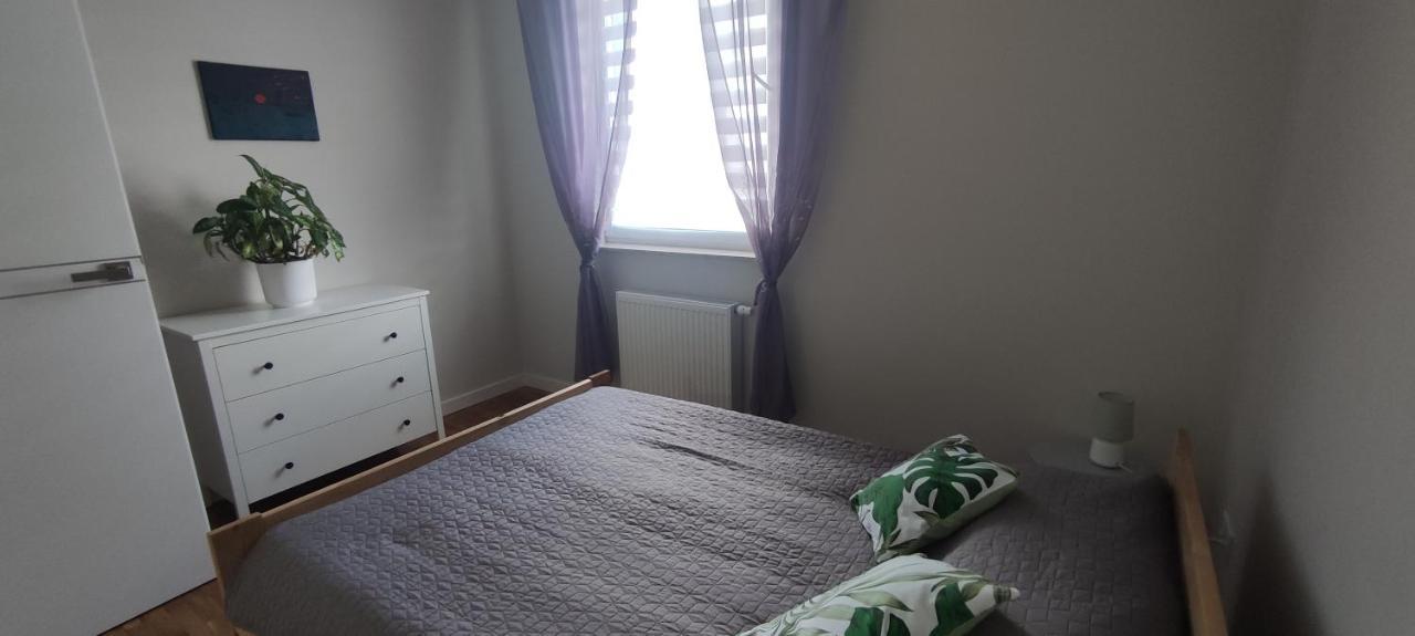 Apartament Zielone Zamienie Екстер'єр фото