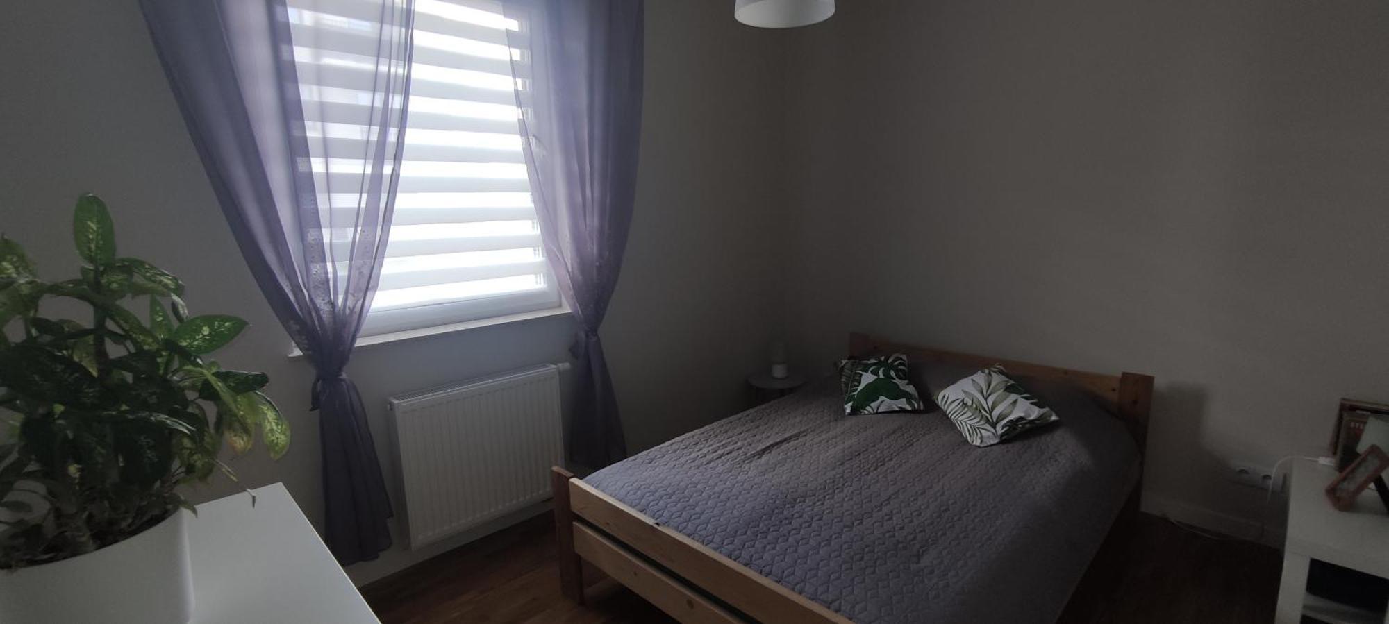 Apartament Zielone Zamienie Екстер'єр фото